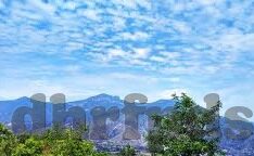 人妻母狗-家庭与角色的深度交织，人妻与母爱的双重奏