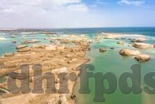 糖心直播app-糖心直播，解锁直播新体验的奇妙旅程
