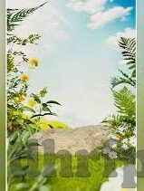 天美传媒thetmme果冻传媒-媒体新生态下的内容创新与审美探索，天美传媒与果冻传媒的并进之路