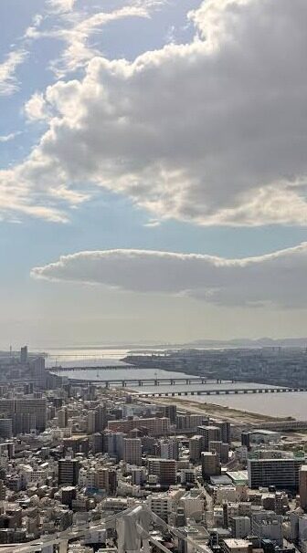 仙踪林果冻传媒视频-仙踪林与果冻传媒视频，一场视觉与想象的盛宴