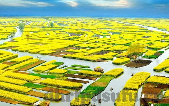 中文字幕在线观看亚洲日韩-探索多元文化视角下的中文字幕在线观看体验